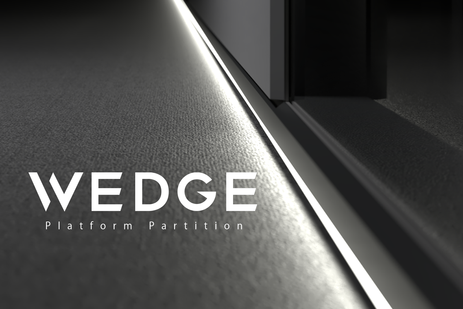 WEDGE Platform Partition